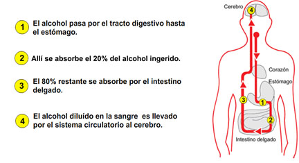 pictograma-mod04-tem12-img02