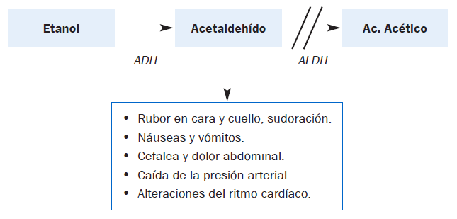 adh-aldh